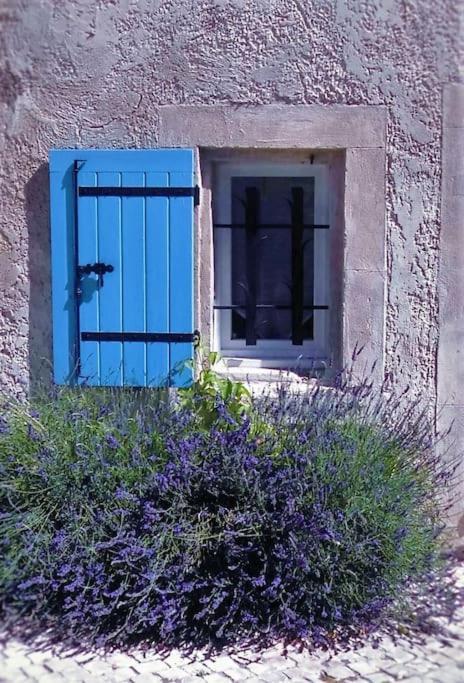 Maison Tout Confort, Climatisee, Dans Le Centre Historique Avec Parking Prive. Villa Saint-Rémy-de-Provence Exterior photo